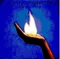 MIGHTY DIAMONDS / マイティ・ダイアモンズ / ICE ON FIRE
