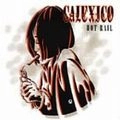 CALEXICO / キャレキシコ / HOT RAIL