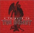 V.A.(TRIBUTE TO IRON MAIDEN) / A TRIBUTE TO THE BEAST