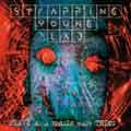 STRAPPING YOUNG LAD / ストラッピング・ヤング・ラッド / HEAVY AS A REALLY HEAVY THING