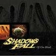 SHADOWS FALL / シャドウズ・フォール / OF ONE BLOOD