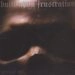 BUILT UPON FRUSTRATION / ビルトアポンフラストレーション / RESURRECTED