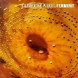 CATHERINE WHEEL / キャサリン・ホイール / FERMENT