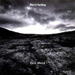DAVID DARLING / デヴィッド・ダーリング / Dark Wood