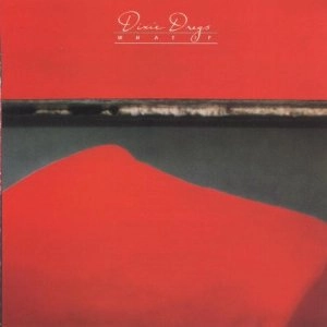 DIXIE DREGS / WHAT IF