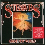 STRAWBS / ストローブス / GRAVE NEW WORLD