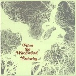 STRAWBS / ストローブス / FROM THE WITCHWOOD