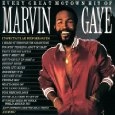 MARVIN GAYE / マーヴィン・ゲイ / EVERY GREAT MOTOWN HIT