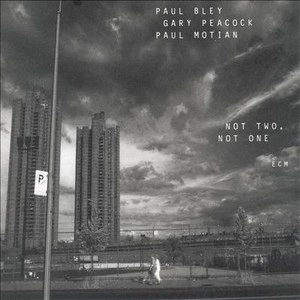 PAUL BLEY & GARY PEACOCK & PAUL MOTIAN / ポール・ブレイ&ゲイリー・ピーコック&ポール・モチアン / NOT TWO,NOT ONE