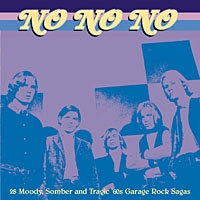 V.A. (GARAGE) / NO NO NO