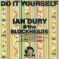 IAN DURY & THE BLOCKHEADS / イアン・デューリー&ザ・ブロックヘッズ / DO IT YOURSELF (2CD)
