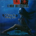 V.A.(TRIBUTE TO MOTLEY CRUE) / TRIBUTE TO MOTLEY CRUE