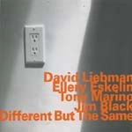 DAVE LIEBMAN & ELLERY ESKELIN / デイヴ・リーブマン＆エラリー・エスケリン / DIFFERENT BUT THE SAME