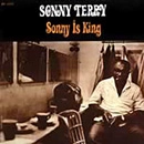 SONNY TERRY / サニー・テリー / SONNY IS KING (180 GRAM VINYL) (45 RPM)