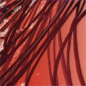 RECLOOSE / リクルース / CARDIOLOGY
