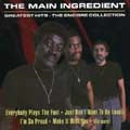 MAIN INGREDIENT / メイン・イングリーディエント / GREATEST HITS