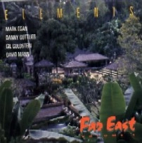 ELEMENTS(MARK EGAN/DANNY GOTTLIEB/GIL GOLDSTEIN/DAVID MANN) / エレメンツ(マーク・イーガン/ダニー・ゴットリーブ/ギル・ゴールドスタイン/デヴィッド・マン) / FAR EAST VOL.1