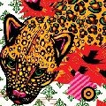 V.A./ Rock (US&Canada) / SOUND THE HARE HEARD