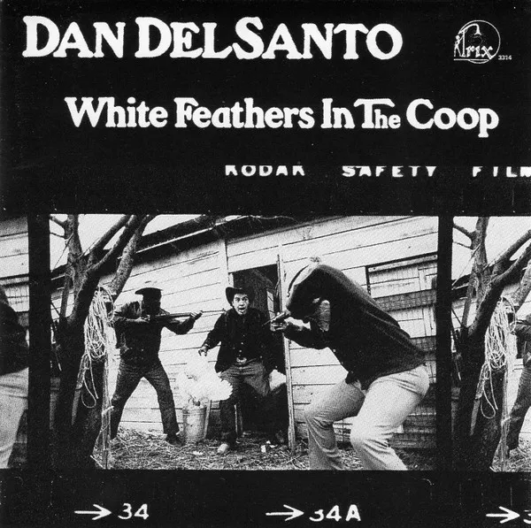 DELSANTO DAN / WHITE FEATHERS IN THE COOP