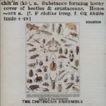 CHITINOUS ENSEMBLE / CHITINOUS