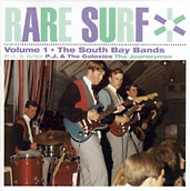 V.A. (ROCK'N'ROLL/ROCKABILLY) / VOL. 1-SOUTH BAY BANDS
