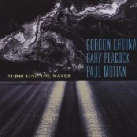 GORDON GRDINA / ゴードン・グルディーナ / THINK LIKE THE WAVES