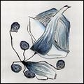 SALA-ARHIMO / サラ・アーヒモ / SALA-ARHIMO