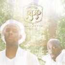 PLATINUM PIED PIPERS (WAAJEED & SAADIQ) / ABUNDANCE