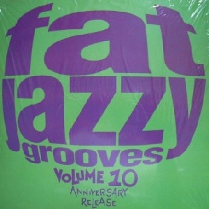 V.A. (FAT JAZZY GROOVES) / VOLUME 10