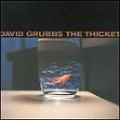 DAVID GRUBBS / デイヴィッド・グラブス / THICKET