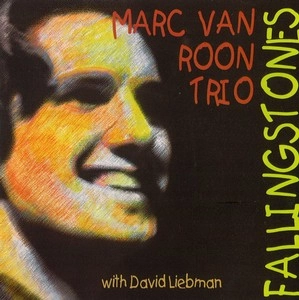 MARC VAN ROON / マーク・ヴァン・ローン / FALLING STONES