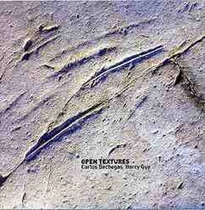 CARLOS BECHEGAS / OPEN TEXTURES
