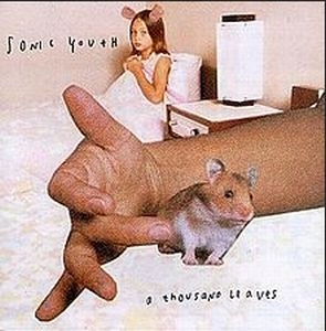 SONIC YOUTH / ソニック･ユース / THOUSAND LEAVES (2LP)