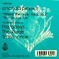ANANDA PROJECT / アナンダ・プロジェクト / WHERE THE MUSIC TAKES YOU/STAY AS YOU ARE