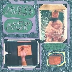 MODEST MOUSE / モデスト・マウス / SAD SAPPY SUCKER - LIMITED