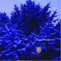 JASON ANDERSON / ジェイソン・アンダーソン / WREATH