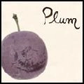 V.A. (Post Rock / Electronica) / PLUM