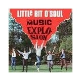 TIM HINKLEY / ティム・ヒンクリー / LITTLE BIT OF SOUL
