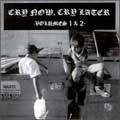 VA (PESSIMISER RECORDS) / CRY NOW CRY LATER VOL.1&2