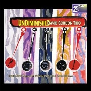 DAVID GORDON / デヴィッド・ゴードン / UNDIMINISHED