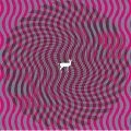 DEERHUNTER / ディアハンター / CRYPTOGRAMS