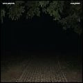 AUTISTIC DAUGHTERS / オーティスティック・ドーターズ / UNEASY FLOWERS