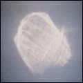 BENOIT PIOULARD / ベノワ・ピオラール / TEMPER