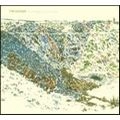 TIM HECKER / ティム・ヘッカー / IMAGINARY COUNTRY