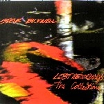 STEVE BICKNELL / スティーヴ・ビックネル / LOST RECORDINGS