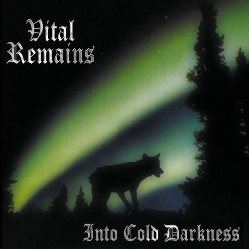 VITAL REMAINS / ヴァイタル・リメインズ 商品一覧 | ディスクユニオン