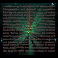 RUSSELL HASWELL AND FLORIAN HECKER / ラッセル・ハズウェル・アンド・フローリアン・ヘッカー / UPIC WARP TRACKS