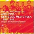 V.A. (NEW WAVE/POST PUNK/NO WAVE) / FROM THE KITCHEN ARCHIVES NO.3 AMPLIFIED :