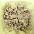 KATE SIMKO / SHE SAID