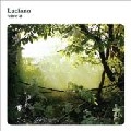 LUCIANO / ルチアーノ / FABRIC 41